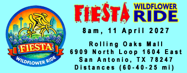 Fiesta Wildflower